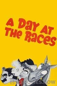 A Day at the Races