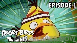 Angry Birds Toons Season 1 Episode 1