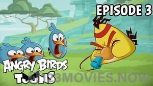 Angry Birds Toons Season 1 Episode 3