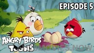 Angry Birds Toons Season 1 Episode 5