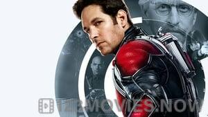 Ant-Man