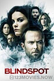 Blindspot Season 1 Episode 20