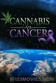 Cannabis VS Cancer