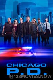 Chicago P.D. Season 10 Episode 10