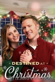 Destined at Christmas