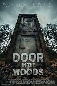 Door in the Woods