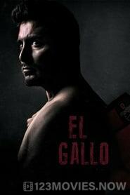 El Gallo