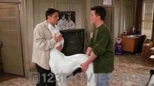 Friends Season 2 Episode 19