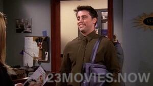 Friends Season 5 Episode 13