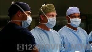 Grey’s Anatomy Season 11 Episode 23