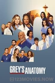 Grey’s Anatomy Season 13 Episode 13