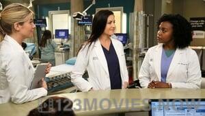 Grey’s Anatomy Season 13 Episode 13