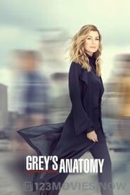 Grey’s Anatomy Season 16 Episode 21