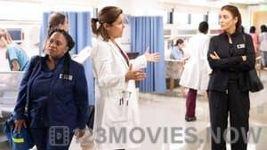 Grey’s Anatomy Season 19 Episode 5