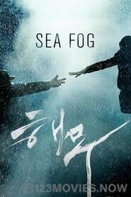 Haemoo