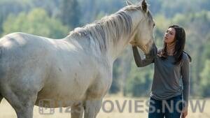 Heartland Season 12 Episode 10