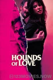 Hounds of Love