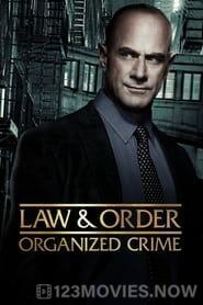 Law & Order: Organized Crime Season 4 Episode 12