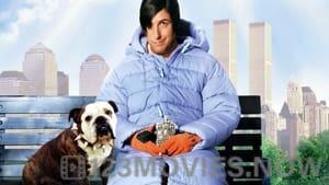 Little Nicky