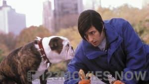 Little Nicky