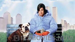 Little Nicky