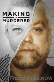 Making a Murderer Season 1 Episode 10