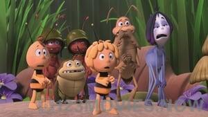 Maya the Bee: The Honey Games