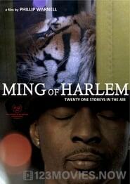 Ming of Harlem: Twenty One Storeys in the Air