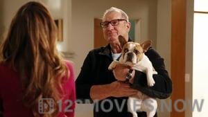 Modern Family Season 5 Episode 22