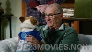 Modern Family Season 6 Episode 13