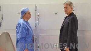 NCIS Season 10 Episode 12