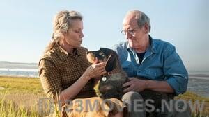 Olive Kitteridge Season 1 Episode 3