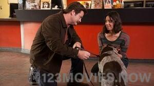 Parks and Recreation Season 6 Episode 13