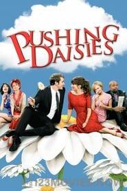 Pushing Daisies Season 1 Episode 5