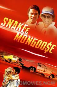 Snake and Mongoose