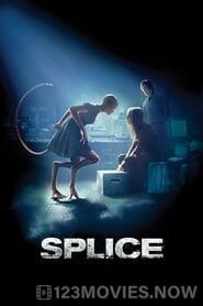 Splice