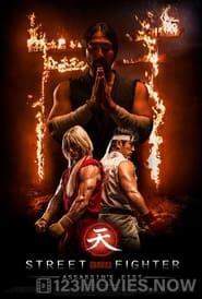 Street Fighter: Assassin’s Fist