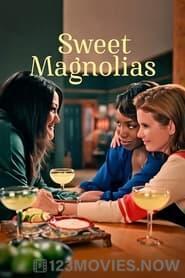 Sweet Magnolias Season 1 Episode 3