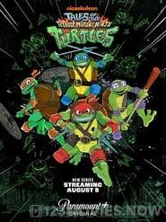 Tales of the Teenage Mutant Ninja Turtles Season 1 Episode 11