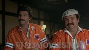 The Cannonball Run