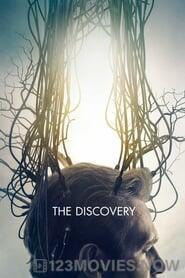 The Discovery