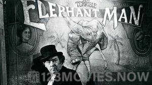 The Elephant Man