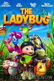 The Ladybug