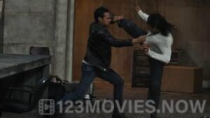 The Raid 2