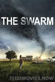 The Swarm