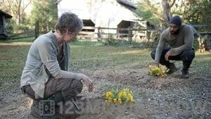 The Walking Dead Season 4 Episode 14