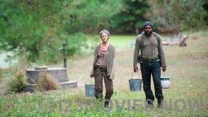 The Walking Dead Season 4 Episode 14