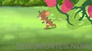 Tom and Jerry Tales Season 2 Episode 8