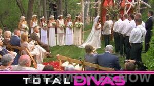 Total Divas Season 2 Episode 11