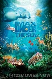 Under the Sea 3D